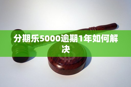 分期乐5000逾期1年如何解决