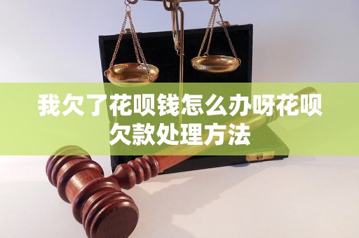 我欠了花呗钱怎么办呀花呗欠款处理方法