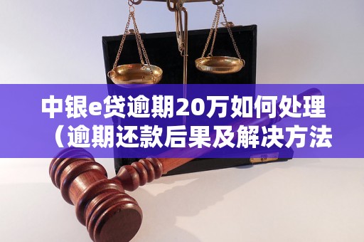 中银e贷逾期20万如何处理（逾期还款后果及解决方法）