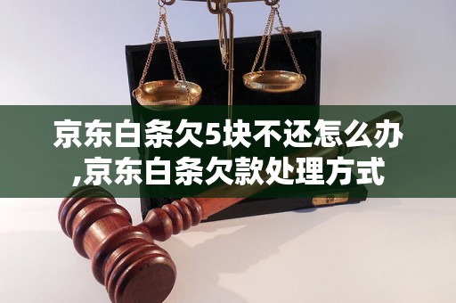 京东白条欠5块不还怎么办,京东白条欠款处理方式