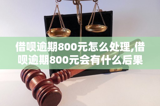 借呗逾期800元怎么处理,借呗逾期800元会有什么后果