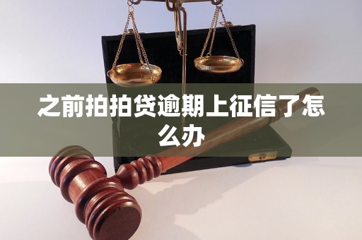 之前拍拍贷逾期上征信了怎么办