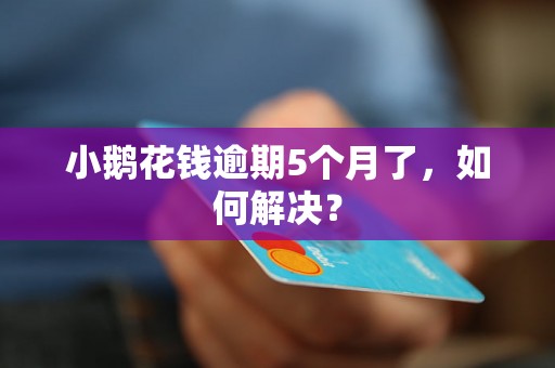 小鹅花钱逾期5个月了，如何解决？