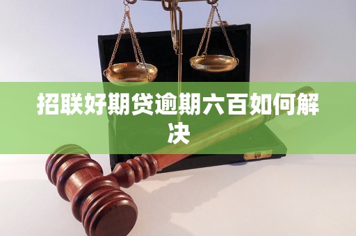 招联好期贷逾期六百如何解决