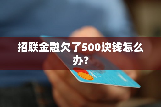 招联金融欠了500块钱怎么办？