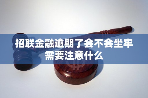 招联金融逾期了会不会坐牢需要注意什么