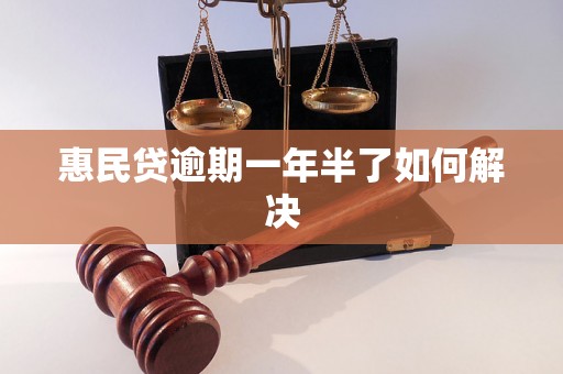 惠民贷逾期一年半了如何解决