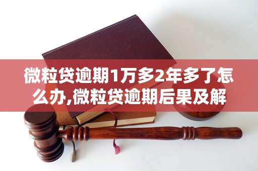 微粒贷逾期1万多2年多了怎么办,微粒贷逾期后果及解决方法