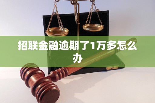 招联金融逾期了1万多怎么办