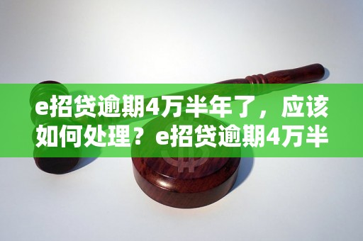 e招贷逾期4万半年了，应该如何处理？e招贷逾期4万半年后果严重吗？