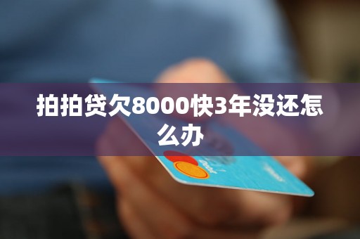 拍拍贷欠8000快3年没还怎么办