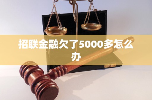 招联金融欠了5000多怎么办