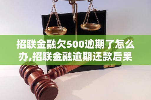 招联金融欠500逾期了怎么办,招联金融逾期还款后果