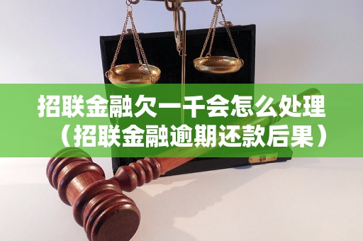 招联金融欠一千会怎么处理（招联金融逾期还款后果）