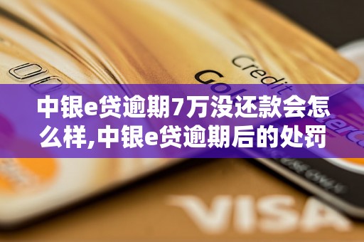 中银e贷逾期7万没还款会怎么样,中银e贷逾期后的处罚措施