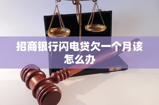 招商银行闪电贷欠一个月该怎么办