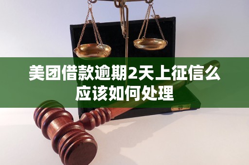 美团借款逾期2天上征信么应该如何处理