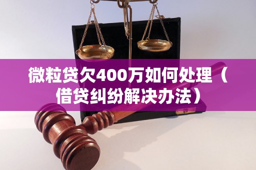 微粒贷欠400万如何处理（借贷纠纷解决办法）