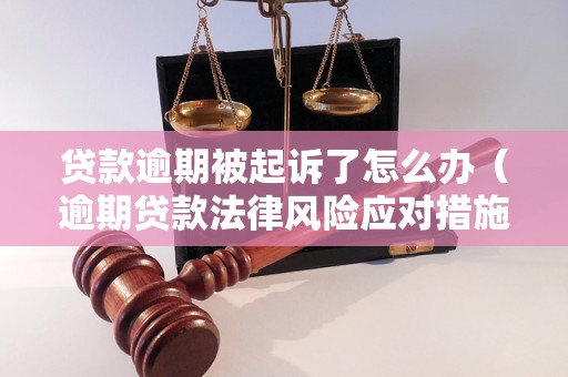 贷款逾期被起诉了怎么办（逾期贷款法律风险应对措施）