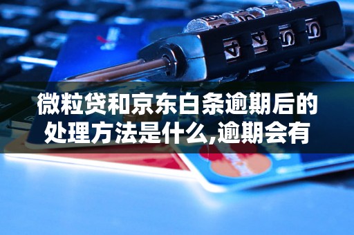 微粒贷和京东白条逾期后的处理方法是什么,逾期会有什么后果