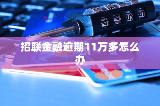 招联金融逾期11万多怎么办