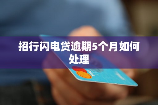 招行闪电贷逾期5个月如何处理