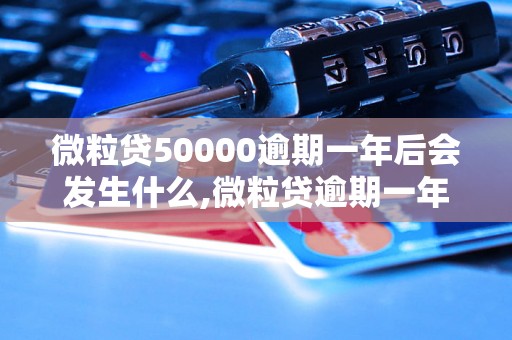 微粒贷50000逾期一年后会发生什么,微粒贷逾期一年的后果是什么