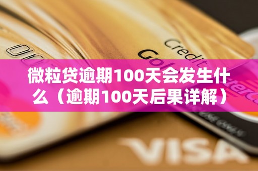 微粒贷逾期100天会发生什么（逾期100天后果详解）