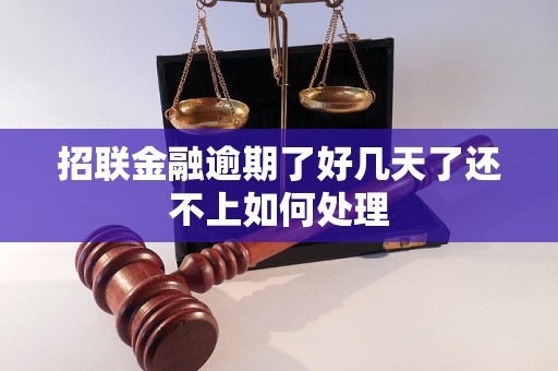 招联金融逾期了好几天了还不上如何处理