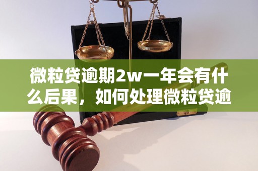 微粒贷逾期2w一年会有什么后果，如何处理微粒贷逾期问题