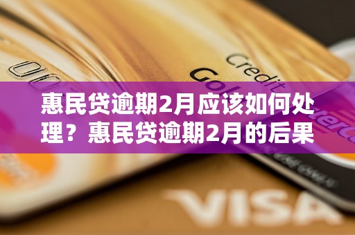 惠民贷逾期2月应该如何处理？惠民贷逾期2月的后果及解决办法