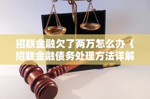 招联金融欠了两万怎么办（招联金融债务处理方法详解）