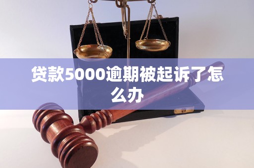 贷款5000逾期被起诉了怎么办