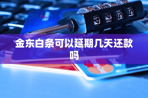 金东白条可以延期几天还款吗