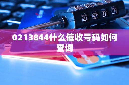 0213844什么催收号码如何查询