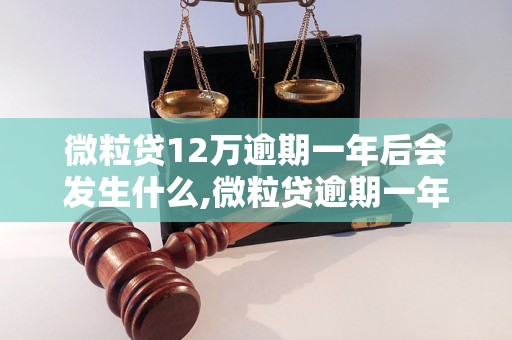 微粒贷12万逾期一年后会发生什么,微粒贷逾期一年后的处理措施