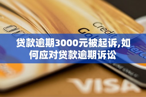 贷款逾期3000元被起诉,如何应对贷款逾期诉讼