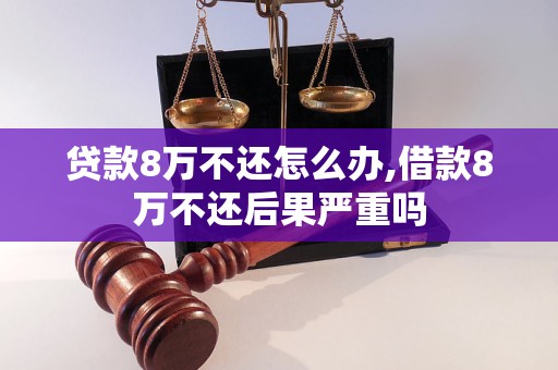 贷款8万不还怎么办,借款8万不还后果严重吗