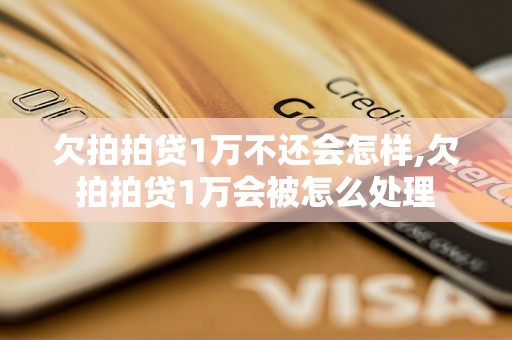 欠拍拍贷1万不还会怎样,欠拍拍贷1万会被怎么处理