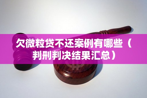 欠微粒贷不还案例有哪些（判刑判决结果汇总）