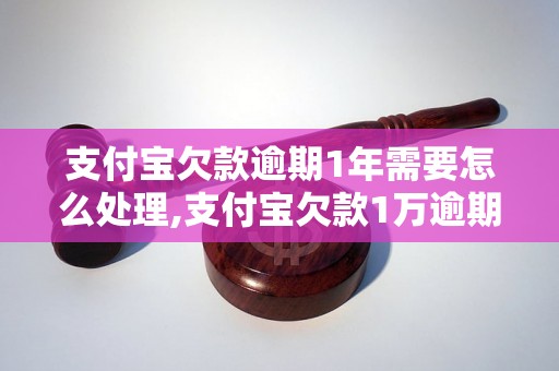 支付宝欠款逾期1年需要怎么处理,支付宝欠款1万逾期1年利息怎么算