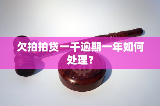 欠拍拍贷一千逾期一年如何处理？