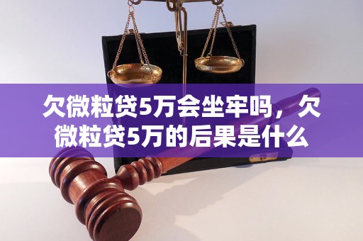 欠微粒贷5万会坐牢吗，欠微粒贷5万的后果是什么