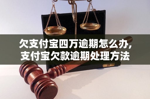 欠支付宝四万逾期怎么办,支付宝欠款逾期处理方法