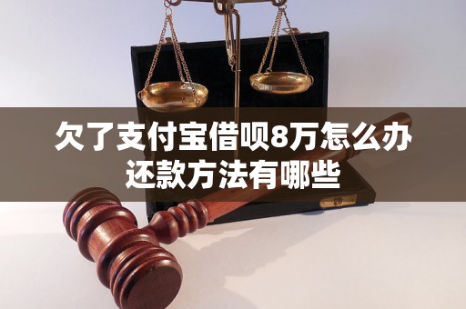 欠了支付宝借呗8万怎么办还款方法有哪些