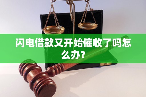 闪电借款又开始催收了吗怎么办？