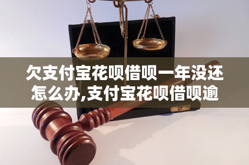 欠支付宝花呗借呗一年没还怎么办,支付宝花呗借呗逾期处理方式