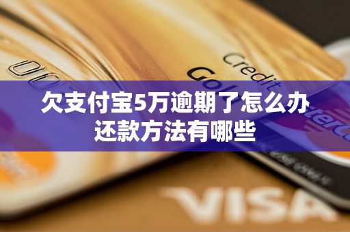 欠支付宝5万逾期了怎么办还款方法有哪些