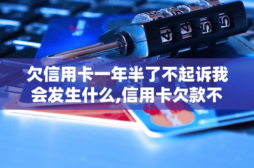 欠信用卡一年半了不起诉我会发生什么,信用卡欠款不还会有什么后果