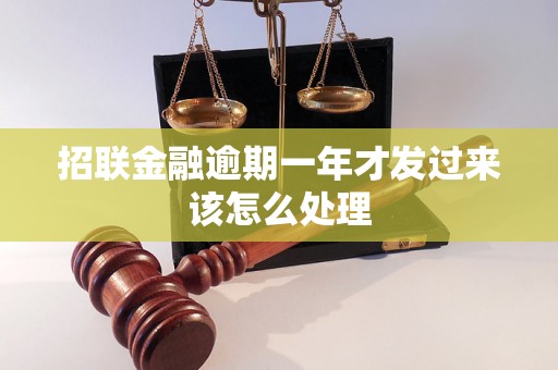 招联金融逾期一年才发过来该怎么处理